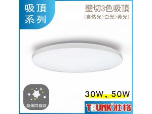  30W 50W LED W{ģ lO T