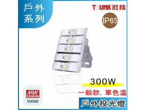  300W LED gO ե 6000K