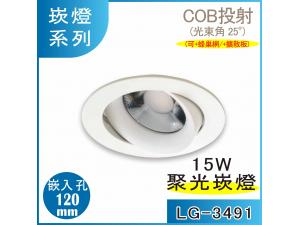  LG-3491 15W LED r12 grO (+_/+XO)